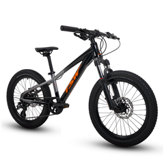 BICICLETA 20 TSW HUNCH