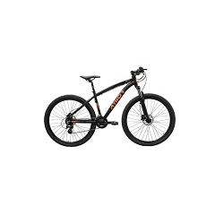 BICICLETA 29 ATHOR RIDER 24V