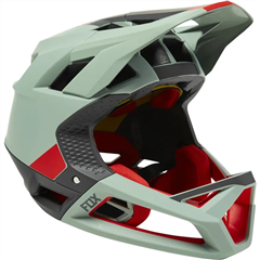 CAPACETE FOX PROFRAME